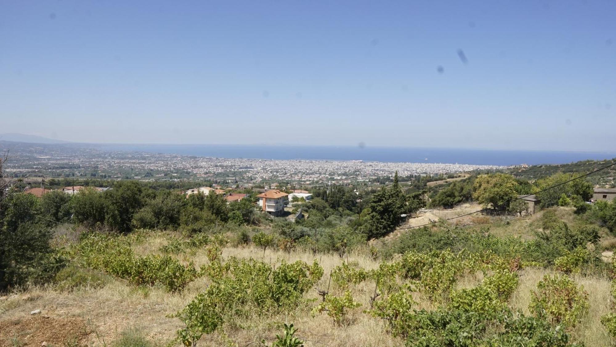 Romanos Patras Studio Zewnętrze zdjęcie